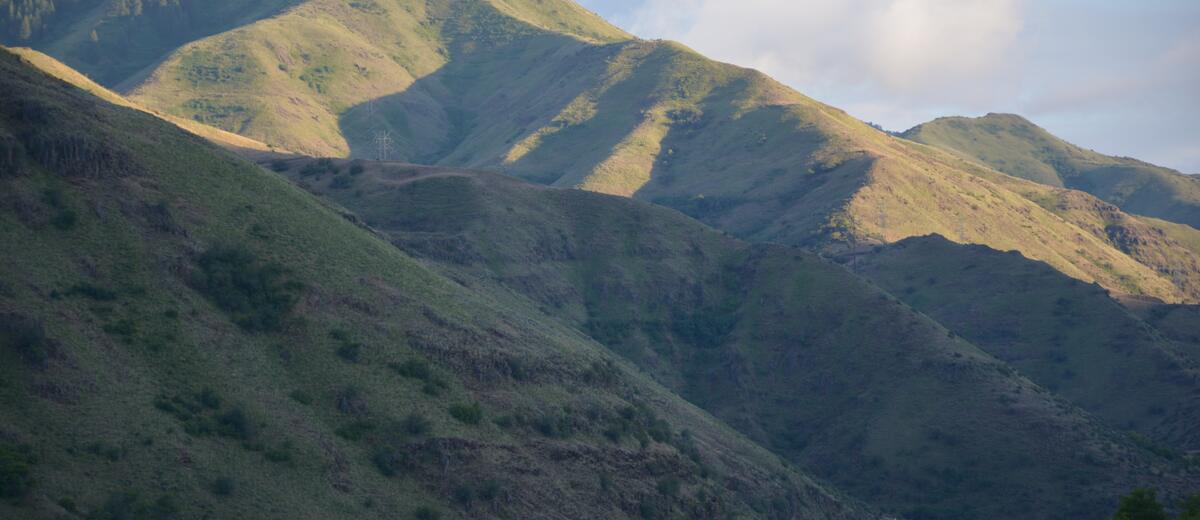Green ridgelines in Hells Canyon country